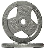 Cast Iron Plate Weight Plate for Strength Training and Weightlifting, 2-Inch Center, 45LB (Set of 2)