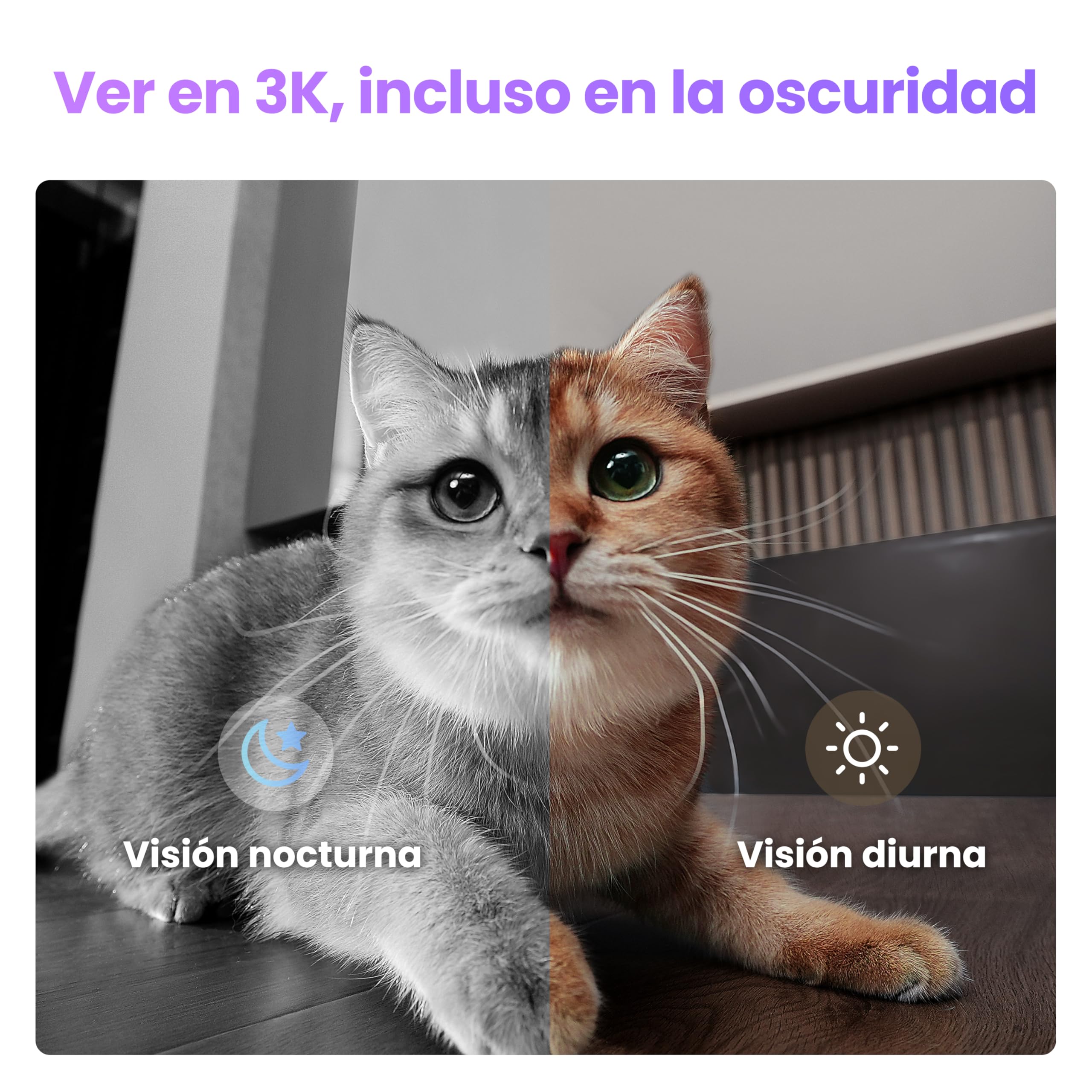 Enabot EBO Air 2 Plus FamilyBot, Robot Móvil IA, Cámara Vigilancia 3K para el Hogar & Mascotas, Audio Bidireccional, Batería, Imagen Facial Personalizada (Púrpura Nebula)