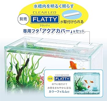 水槽 TenNobu 水槽 TenNobu Amazon | 小型水槽、プラスチッククリアマイクロ