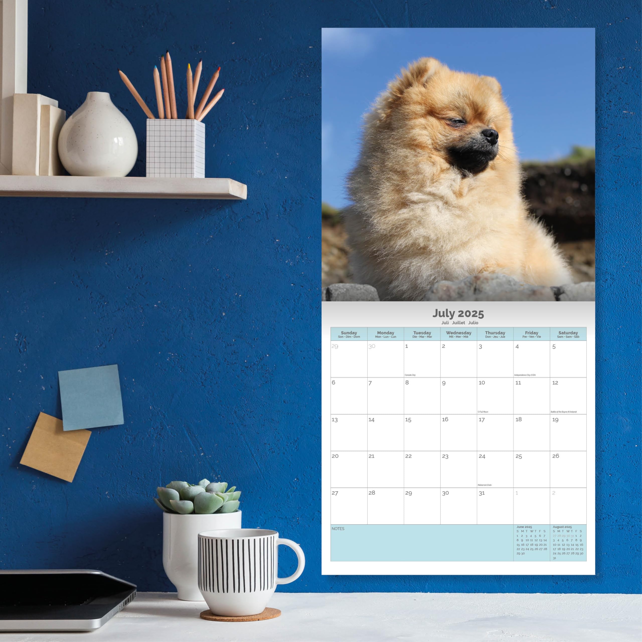 Baker and Bray Pomeranian Calendar 2026, Large Square Wall Calendar With Organisational Stickers, 16 Month - Image 4