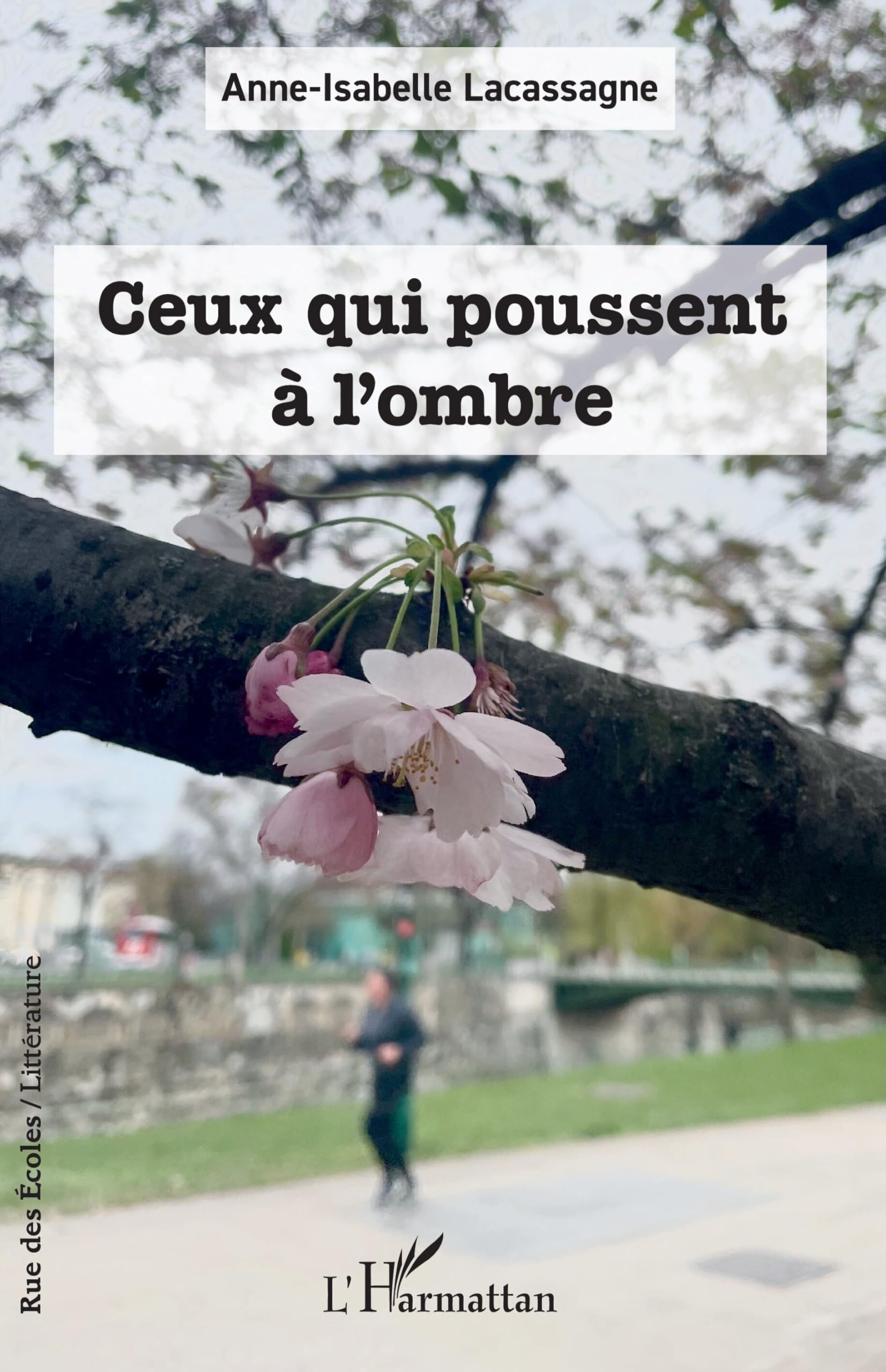 Ceux qui poussent à l’ombre (Rue Des Écoles)
