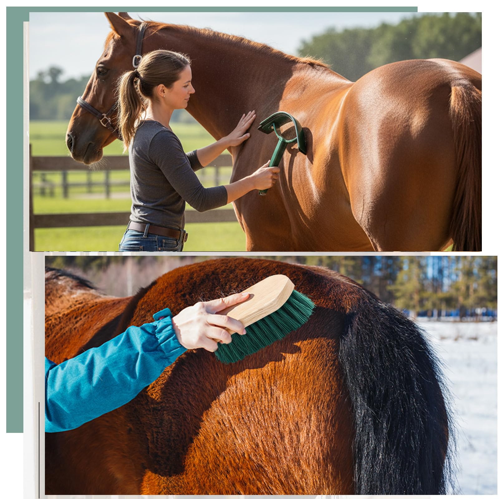 Abbylike Pferdepflegeset, 12-teilig, Renn-, Festivalzubehör, Pferdebürsten-Set, Pferdepflege, Reinigungsset, Fellpflege, Massagewerkzeuge (Khaki und Grün)