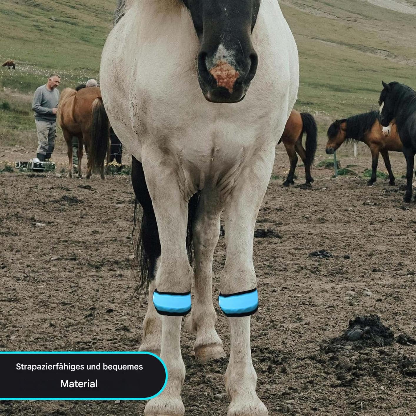 Generisch Pferdebeinbänder - 4 Stück Zubehör Für Tiere Mit Hoher Sichtbarkeit | LED Beleuchtung Pferdeknöchelriemen,Für Das Reiten Bei Nacht, Paraden, Farmen, Ranches, Ställe, Zirkus Und