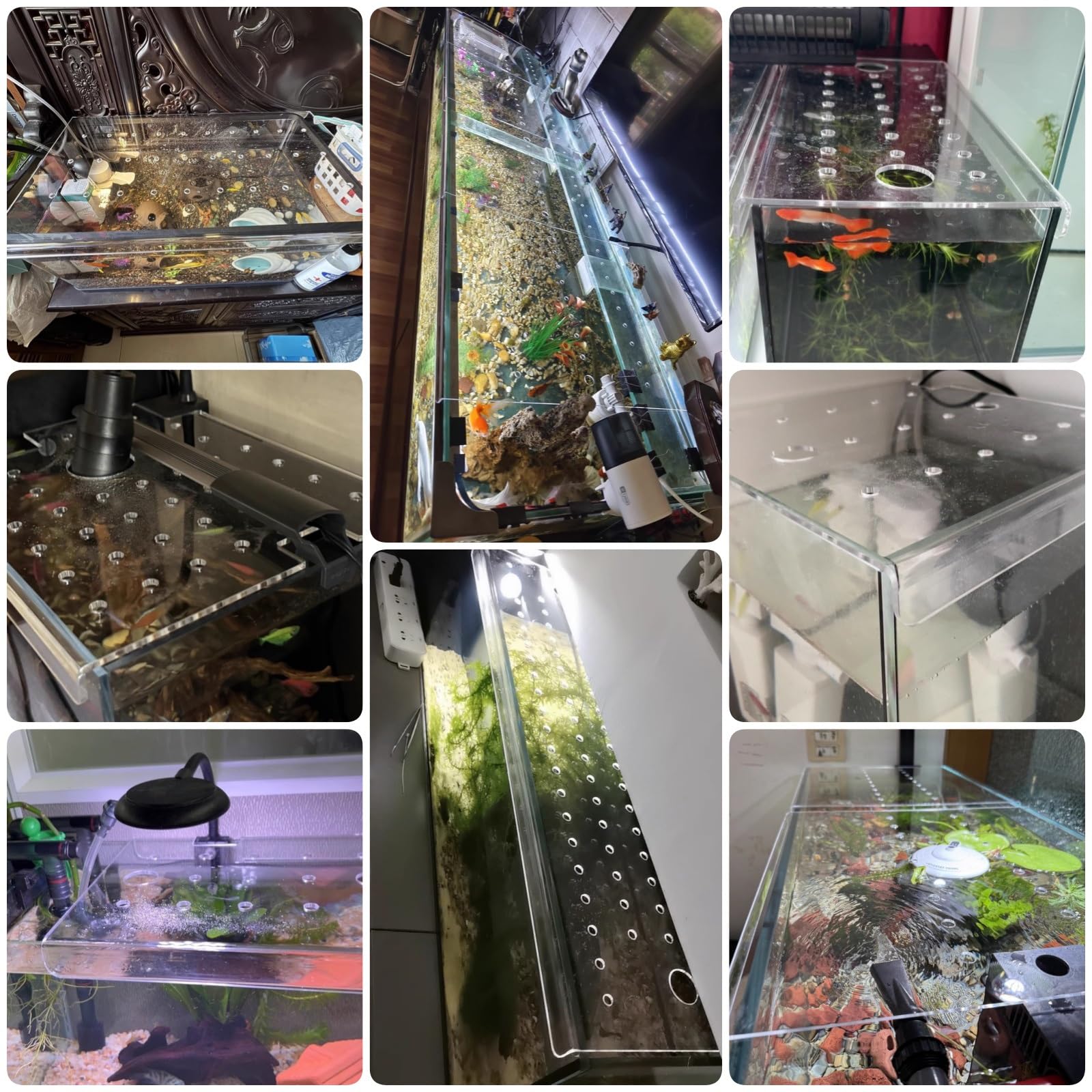 Copertura per acquario in acrilico con foro per aria fresca, coperchio per acquario a prova di salto, per terrario, misura universale per varie dimensioni