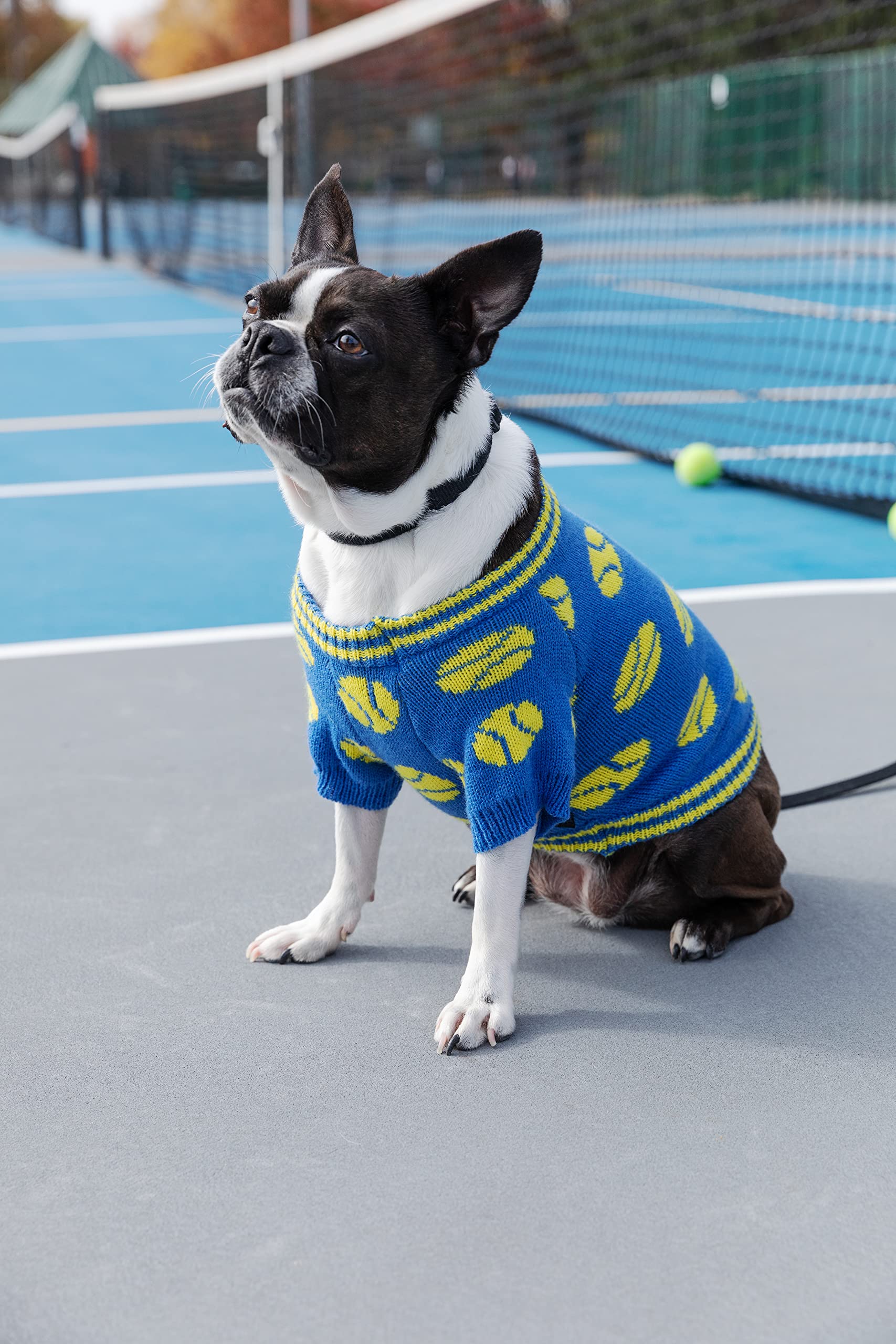 Amazon.com : Brass Monkey Tennis Balls – Dog Sweater Vintage
