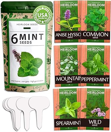 (6 Variety) Mint Seeds for Planting Outdoors or Indoors Peppermint, Spearmint, Mountain Mint, Wild Mint, Anise Hyssop, & Common Mint | Non-GMO, Heirloom Herb Seed,Grow Your Own Mint Plant