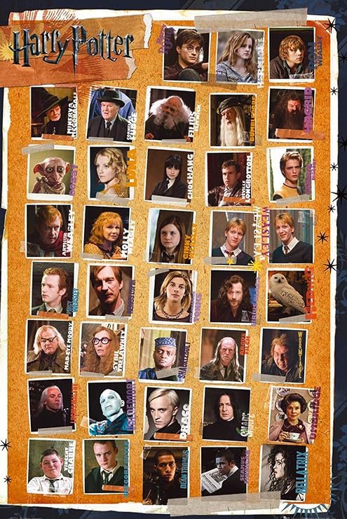 Harry Potter and the Deathly Hallows - Characters Poster 24 x 36 inches