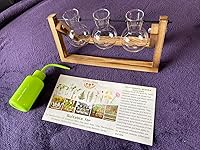 Review Image by Maddy Gilliam Maddy Gilliam