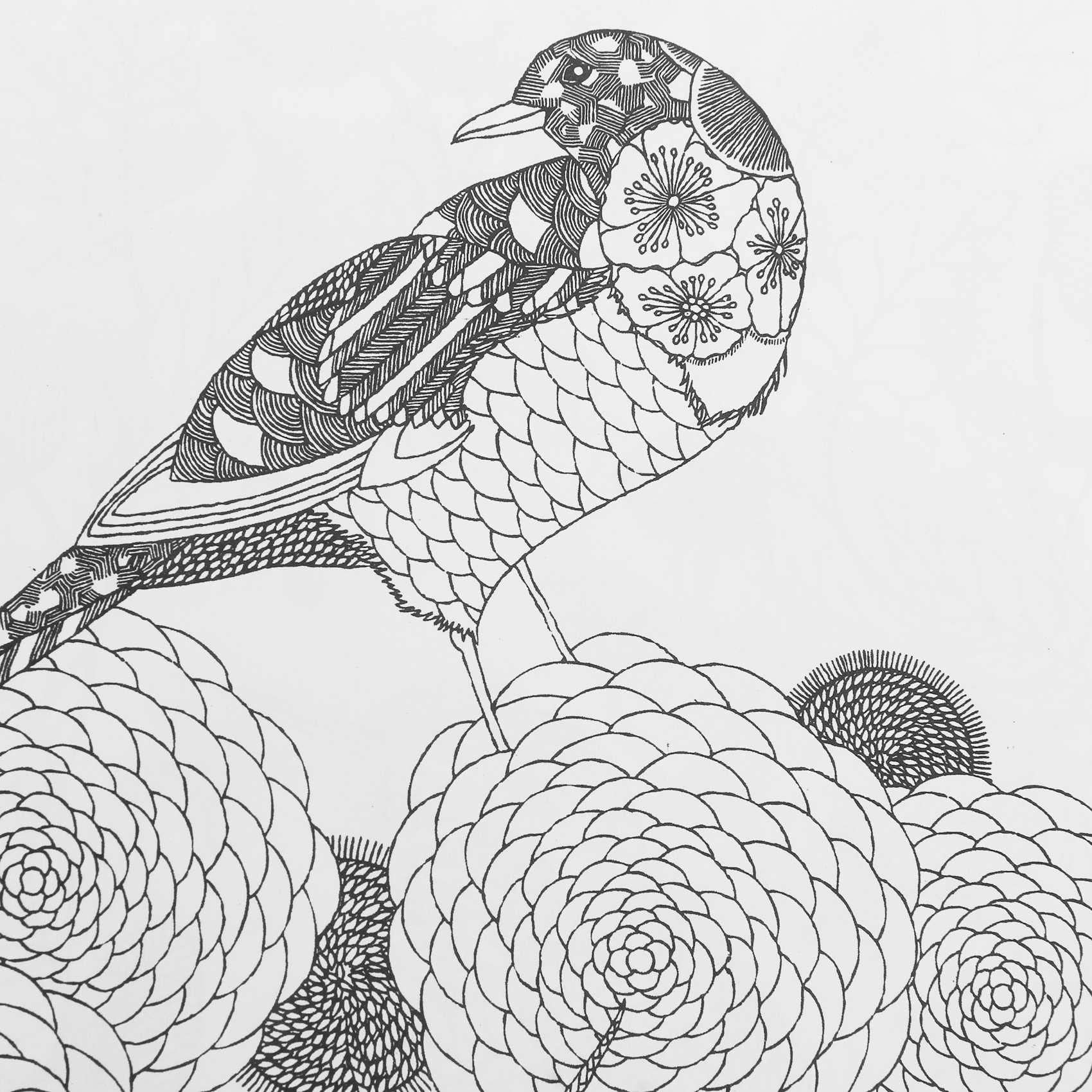 SHABD Libro De Pintura para Colorear Caza del del Reino Animal De Adultos  Niños : Amazon.es: Hogar y cocina