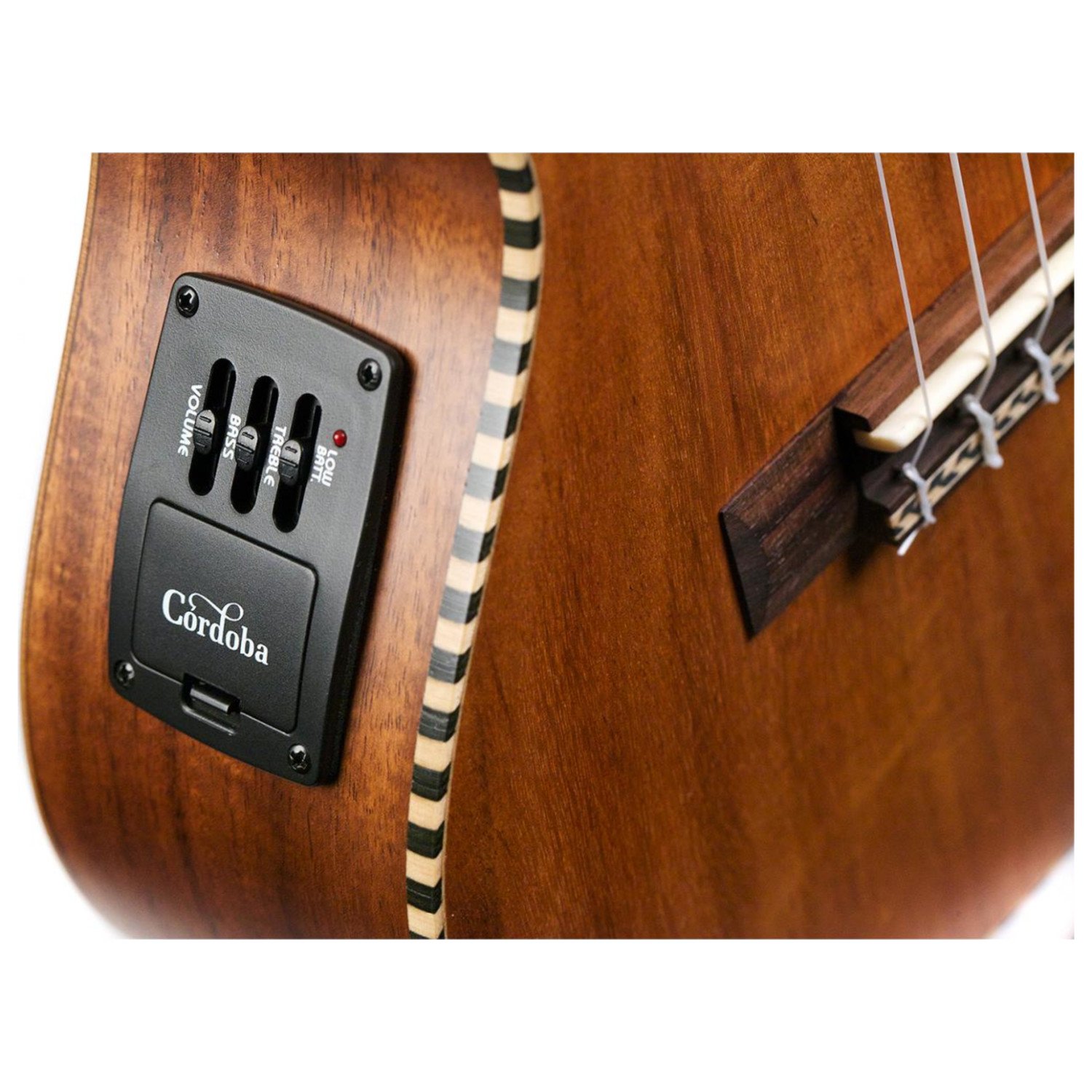 Amazon.co.jp: Cordoba ウクレレ テナー ピックアップ付 25T-CE : 楽器 