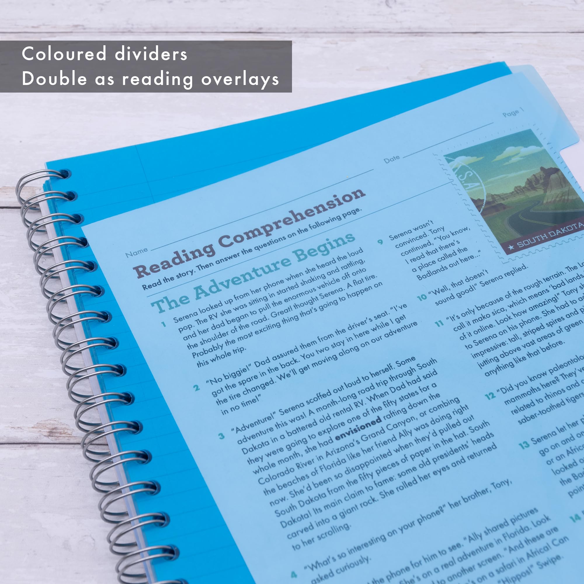 Pukka Pad Irlen Projektbuch, A4, 3er-Pack, 200 Seiten, 100 Blatt 80 g/m², liniertes und farbiges Papier und 5 wiederverwendbare Trennblätter, entworfen für visuelle Wahrnehmung, FSC-zertifiziert,