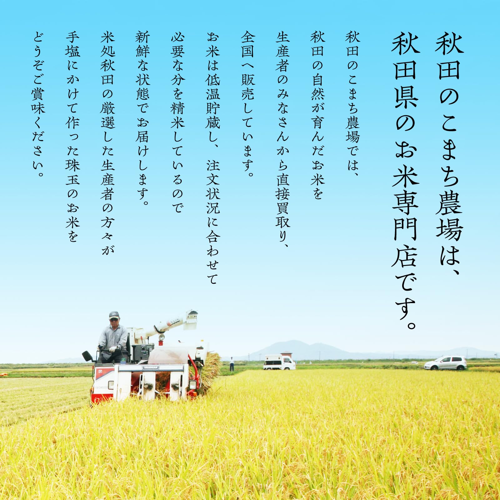 Amazon.co.jp: あきたこまち 無洗米 20kg (5kg×4) 秋田県産 令和7年産
