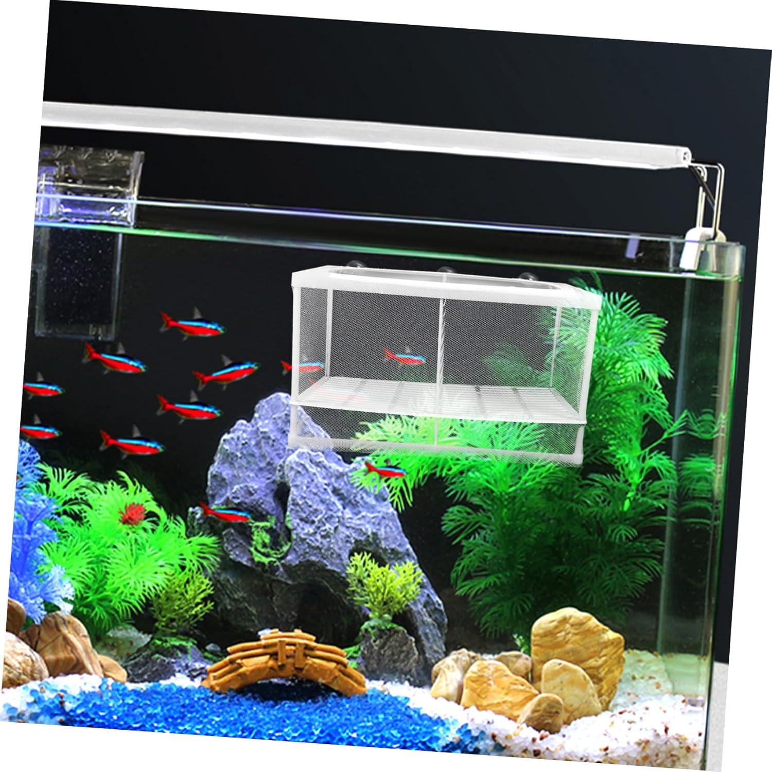Levemolo 2pcs Fish Breeding Isolation Box with Suction Cups Durable Mesh Hatchery Net for Fish Tank Safe Juvenile Protection and Easy Observation for Betta and Shrimp