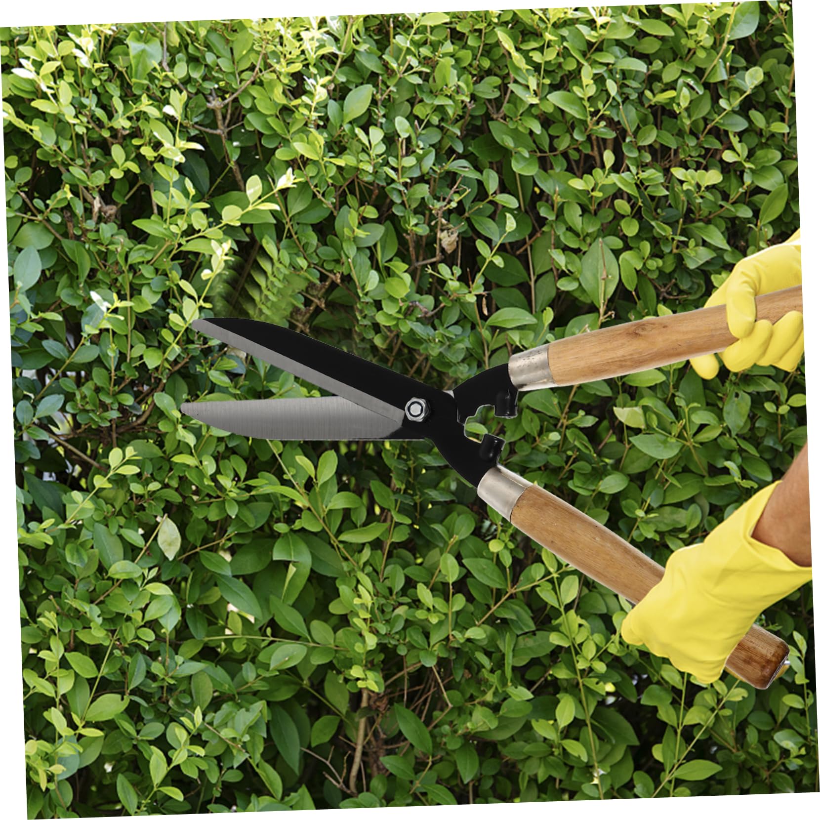 Tijeras de Madera de Acero Carbono Mango de Jardinería