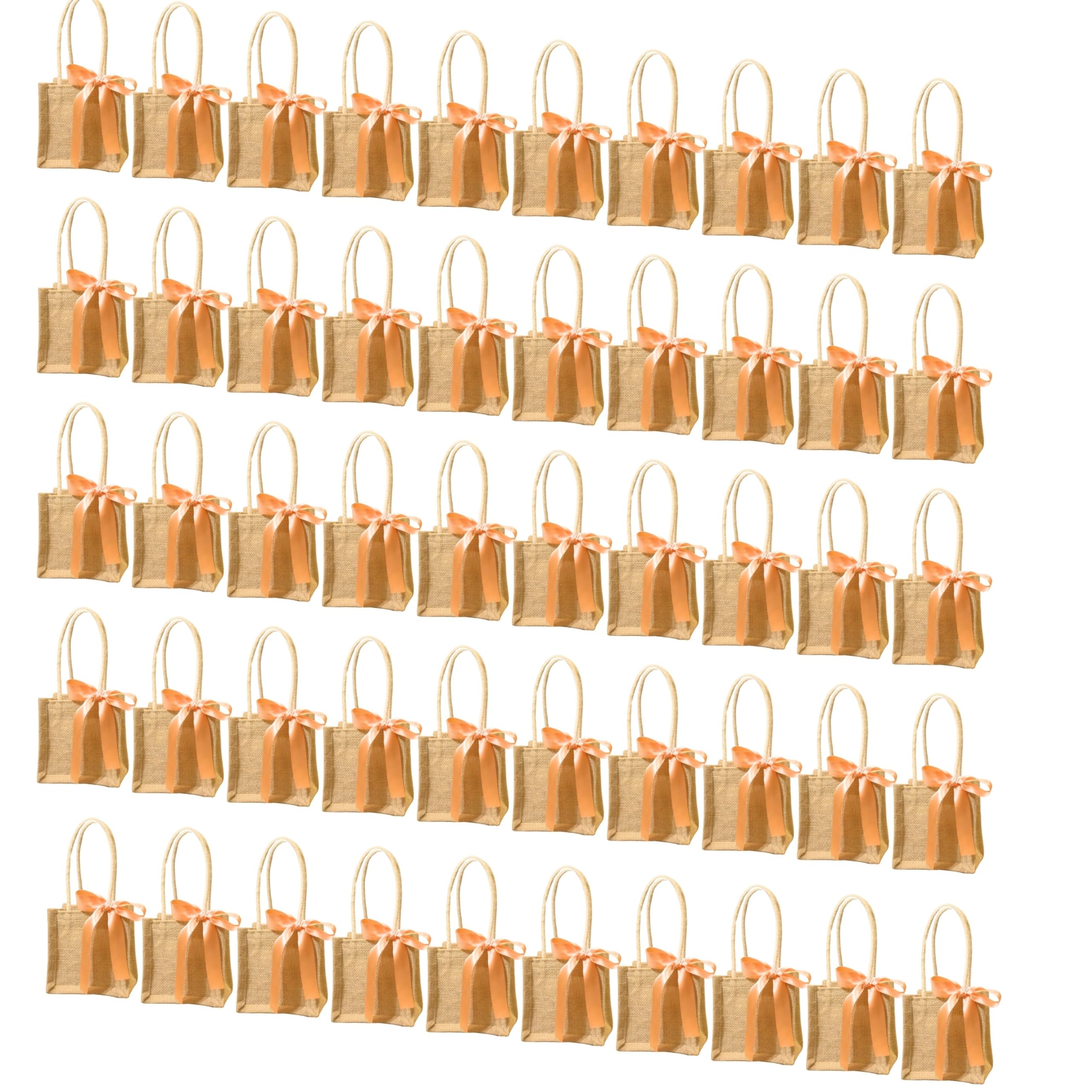 Prakriti Maitri 5/5/5 Inch Mini Gift Bags with Ribbon - Perfect Wedding Return Gift Jute Bag and Plantable Planter Bags | Christmas Gift Bag | Pack of 10 (Pack of 50) (B0CPC35LVH) Amazon Price History, Amazon Price Tracker
