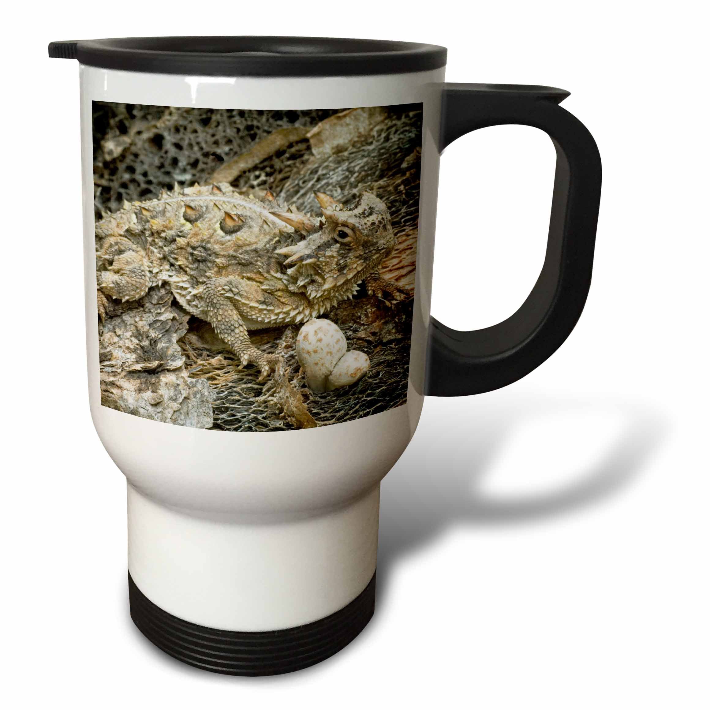 Amazon.com: 3dRose Texas Dallas Airport, American Airlines US44 CMI0006  Cindy Miller Hopkins Travel Mug, 14-Ounce, Stainless Steel : Home & Kitchen
