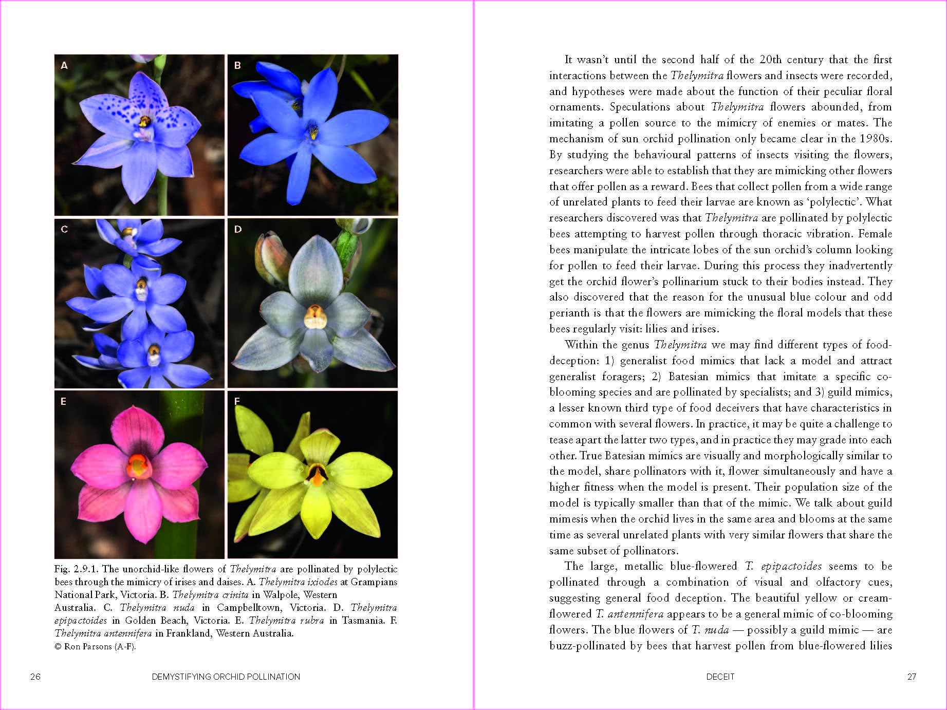 Demystifying Orchid Pollination: Stories of sex, lies and obsession