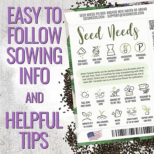 Miniatura 4 de Seed Needs anís Hyssop Agastache foeniculum Twin Pack de 500 semillas cada una sin OGM