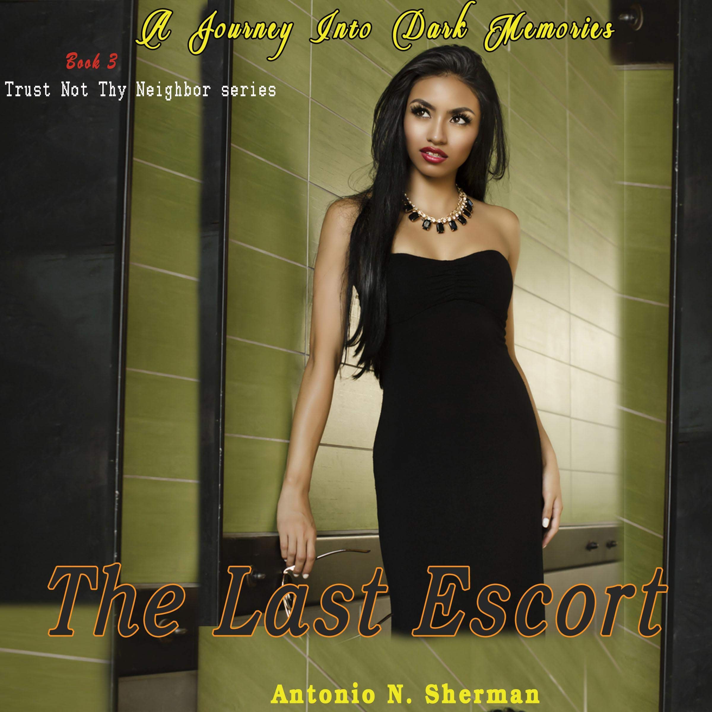 Cover art for The Last Escort: Second Shadow Edition