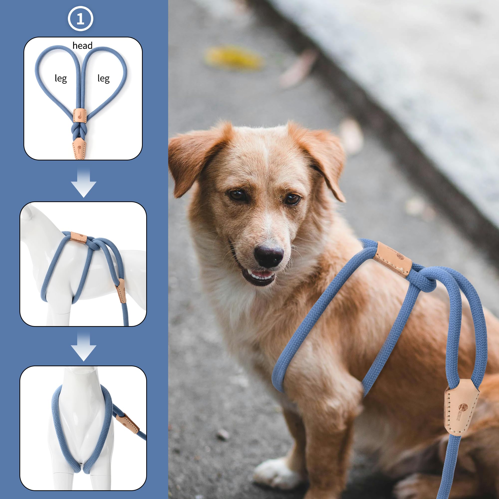 Top harness rope leash Hotsell Black Friday