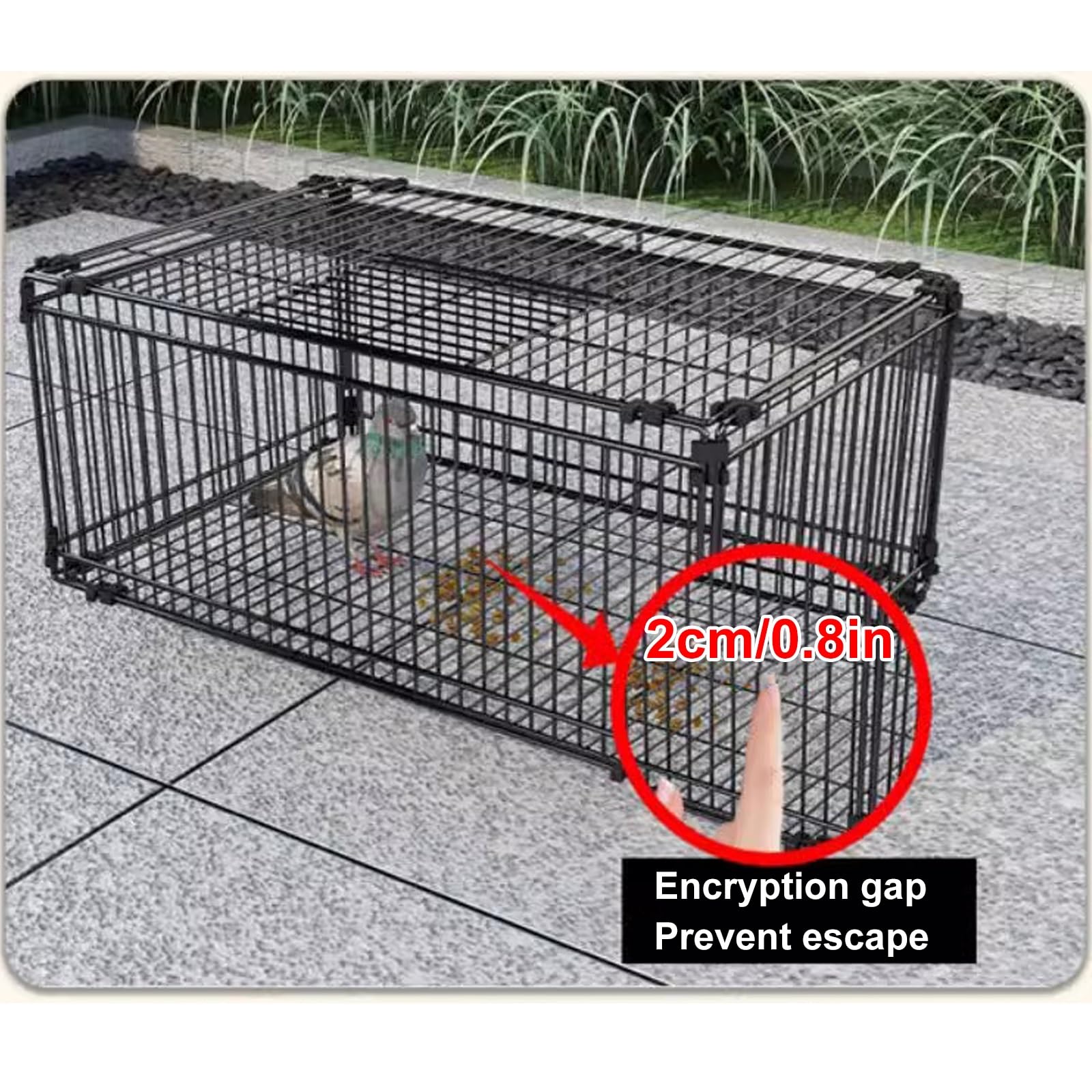 Pułapka na Wróble, Pułapka na Gołębie z Konstrukcją Uniemożliwiającą Ucieczkę, Pułapka na Ptaki, Klatka Dla Ptaków z 4-Stronnym Wejściem, Konstrukcja Świetlika na Górze, Klatka na Gołębie(100