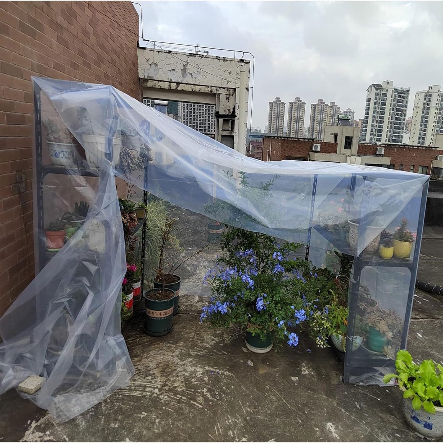 Plastico Invernadero, Polietileno,Transparente, Reutilizabl | Impermeabilización Transparente de Protección de las Plantas Láminas de Cubierta de la Película al Aire Libre Jardín(4x8M)