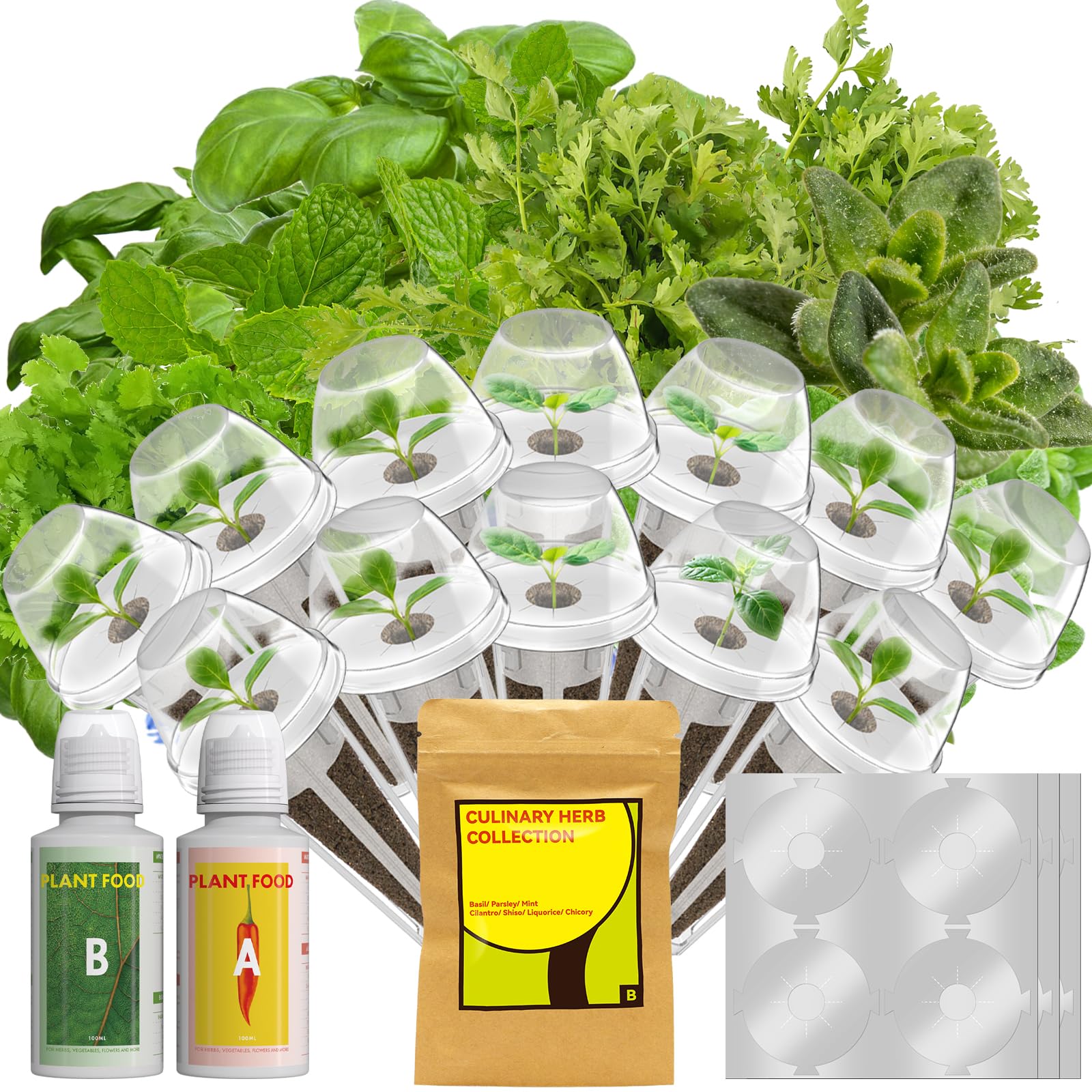 LYKOCLEAN 12 Pods Herb Seed Pod Kit
