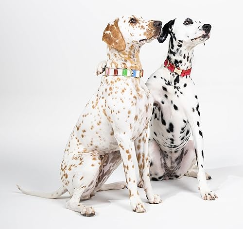 Miniatura 8 de kate spade new york Lindo collar de perro con detalles de metal dorado y hebilla de plástico, collar ajustable de 10.5 a 13.5 pulgadas para perros