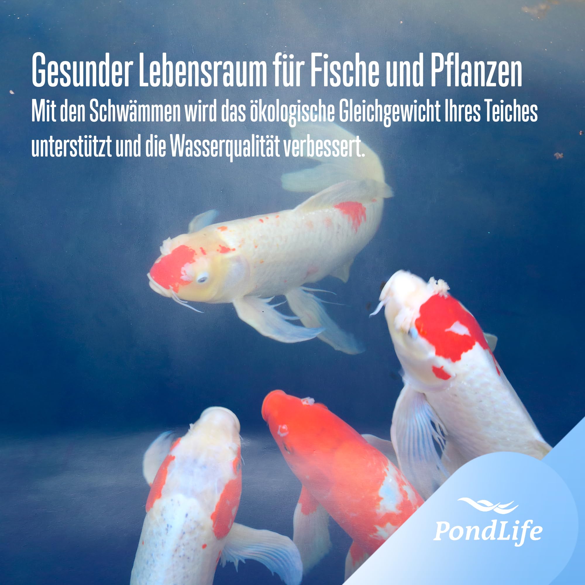 Pondlife Teichfilter Schwämme, Filterschwamm-Set für Teichfilter, 4x Gelb (Fein), 4x Blau (Grob), kompatibel mit SunSun CBF 350 und Osaga Kammerfilter, offenporiger Schaumstoff