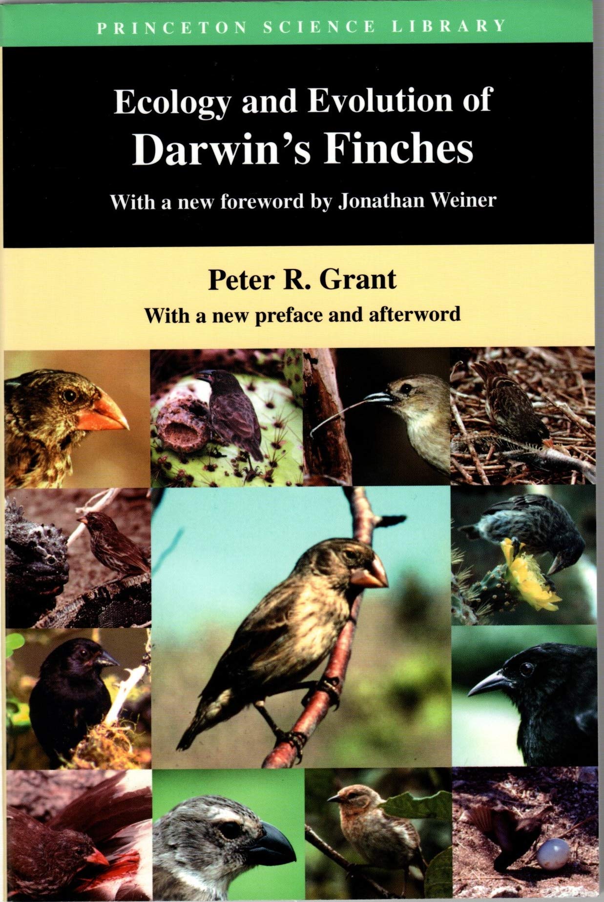 Ecology and Evolution of Darwin's Finches cover