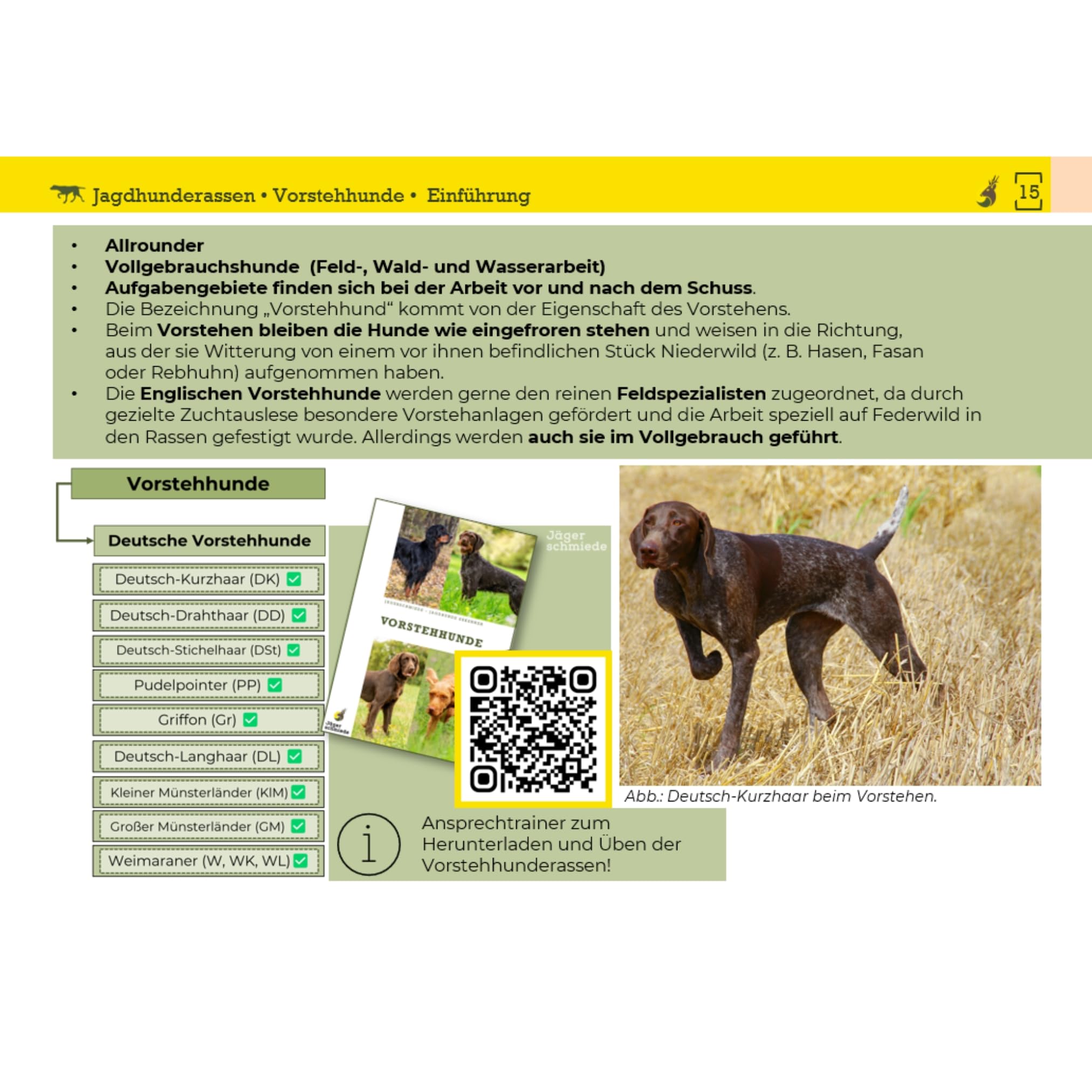 Lernkarten: Erfolgreich die Jagdprüfung bestehen & sicher zum Jagdschein - Das Buch neu gedacht; kompakt & digital unterstützt [Standardwerk]