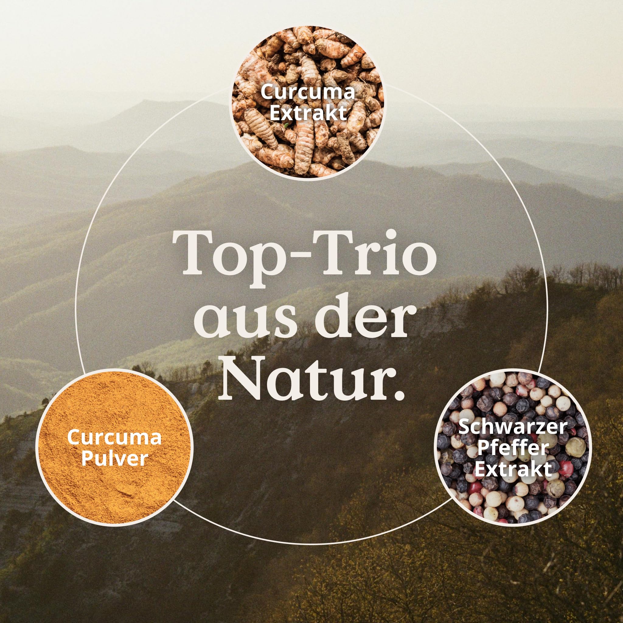 NATURE LOVE® Curcuma 15000 - Kurkuma Kapseln - 9 Monate Reichweite - hochdosiert 95% Curcumin pro Kapsel - mit schwarzem Pfeffer - vegan, laborgeprüft & in Deutschland produziert