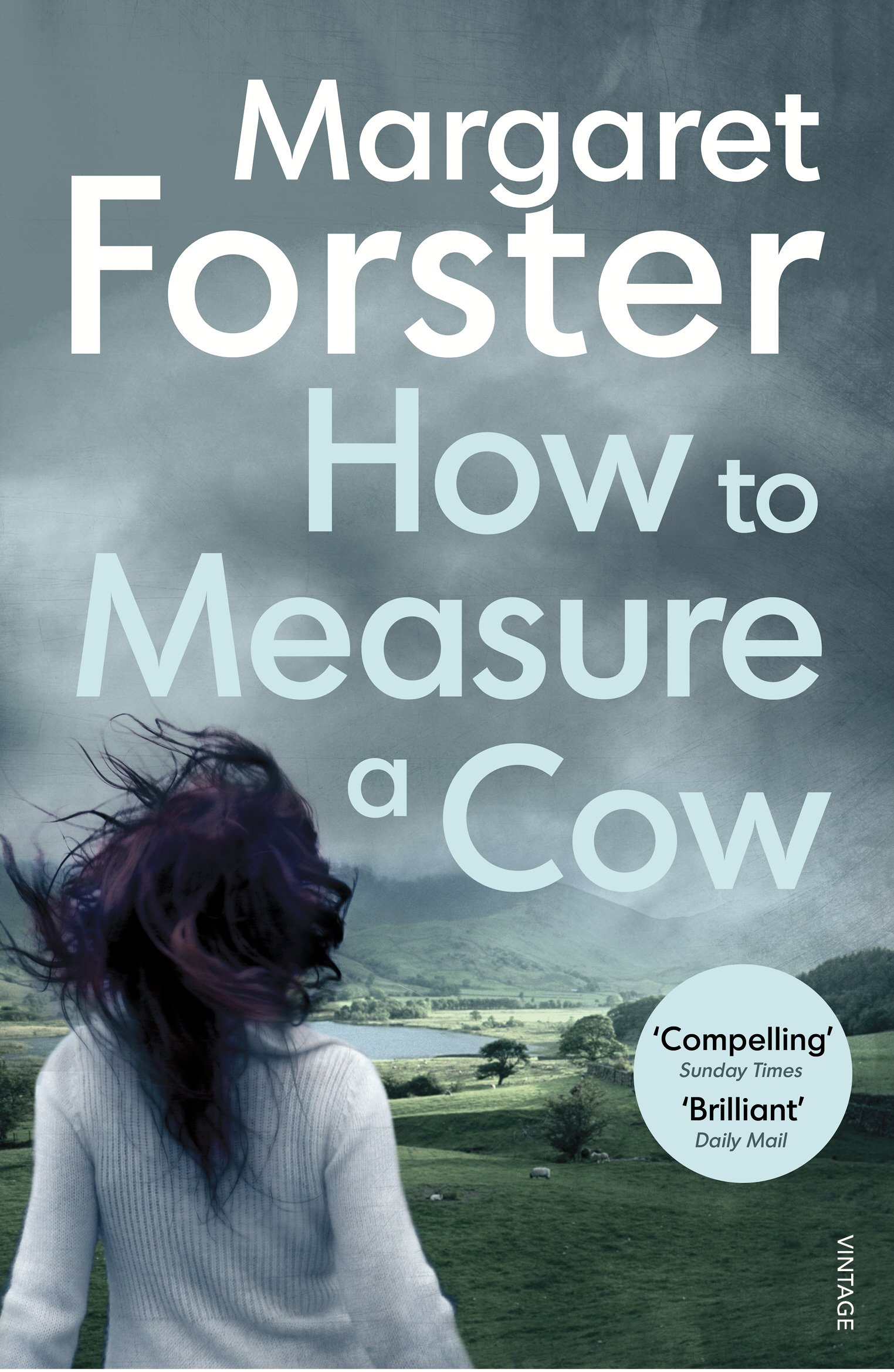 How to Measure a Cow by Margaret Forster (Paperback, 2017)