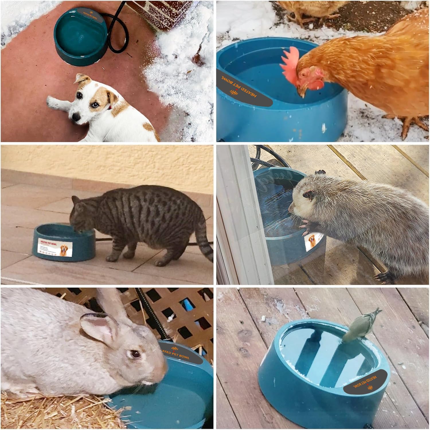 Enjoying Ciotola riscaldata per animali domestici, controllo intellettuale della temperatura, 2,2 l, ciotola riscaldata per cani, gatti, polli