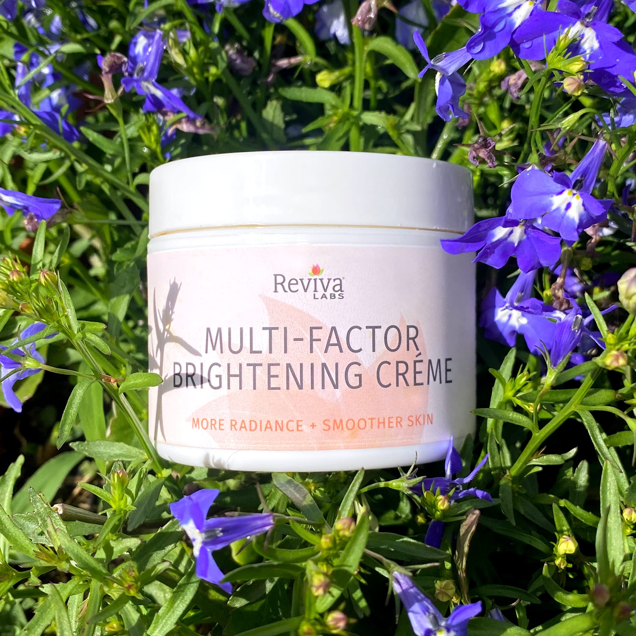REVIVA LABS - Multi-Factor Brightening Crème : Amazon.ca: Beauty