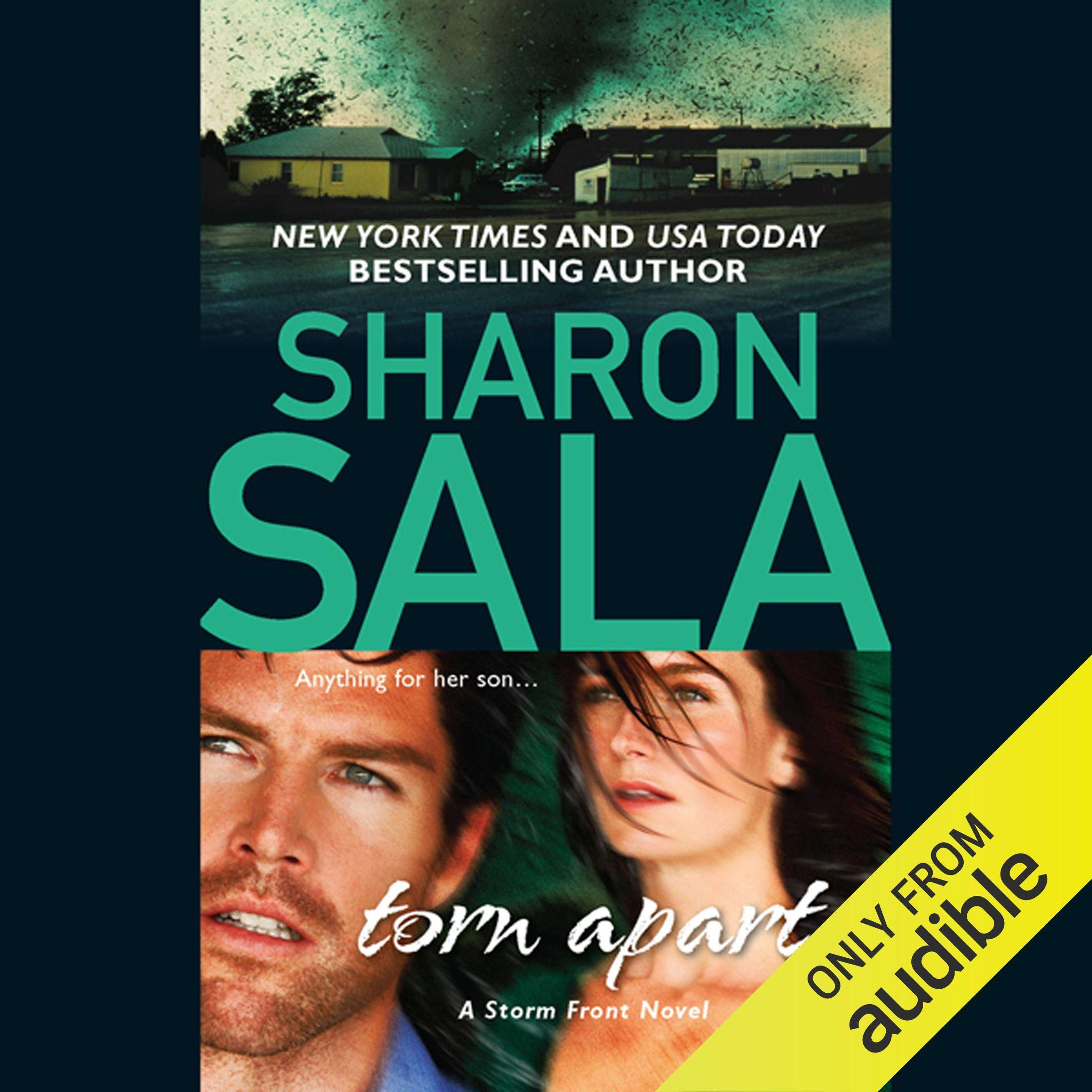 Cover art for Torn Apart