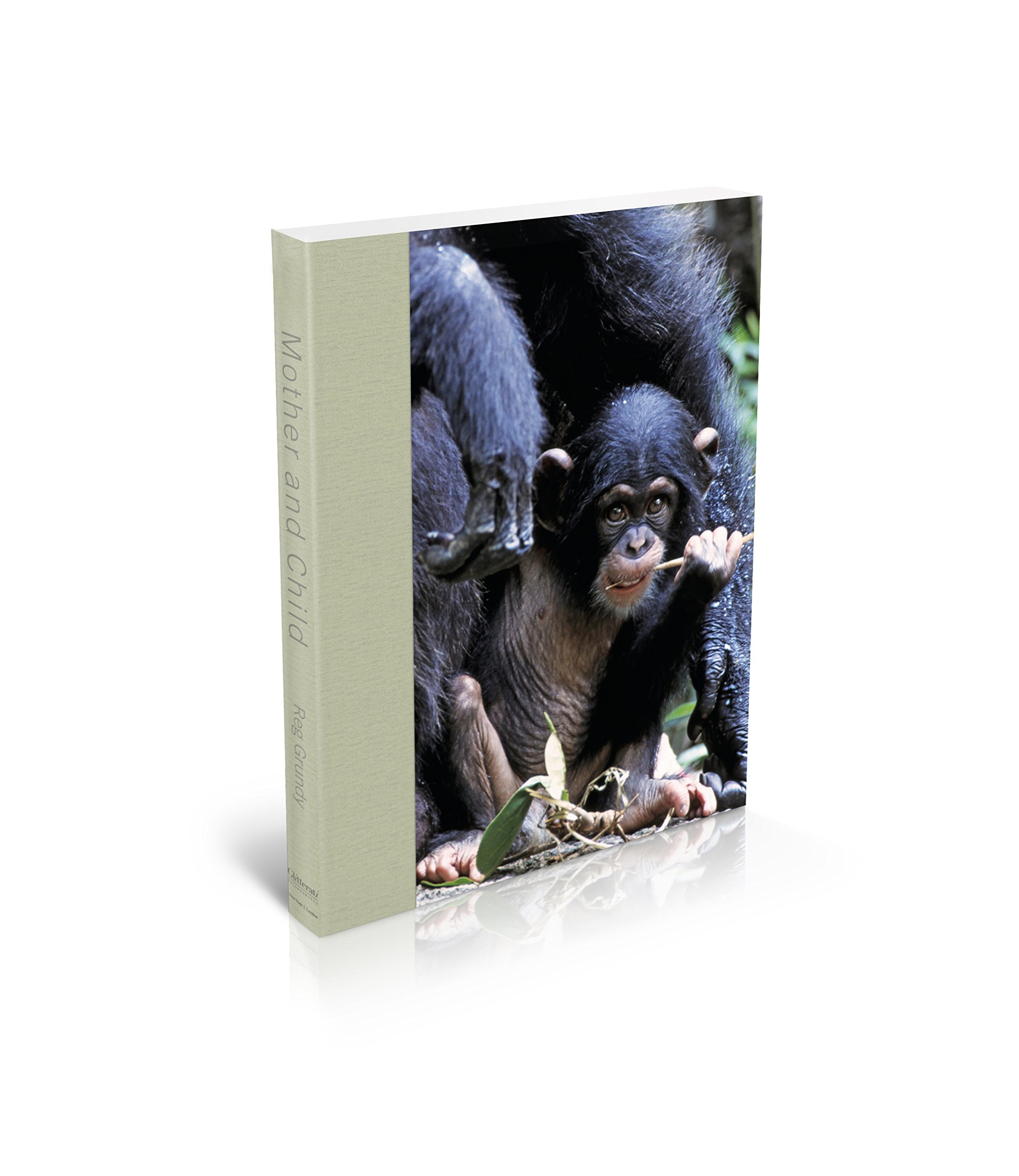 Mother and Child: Wildlife Photography
