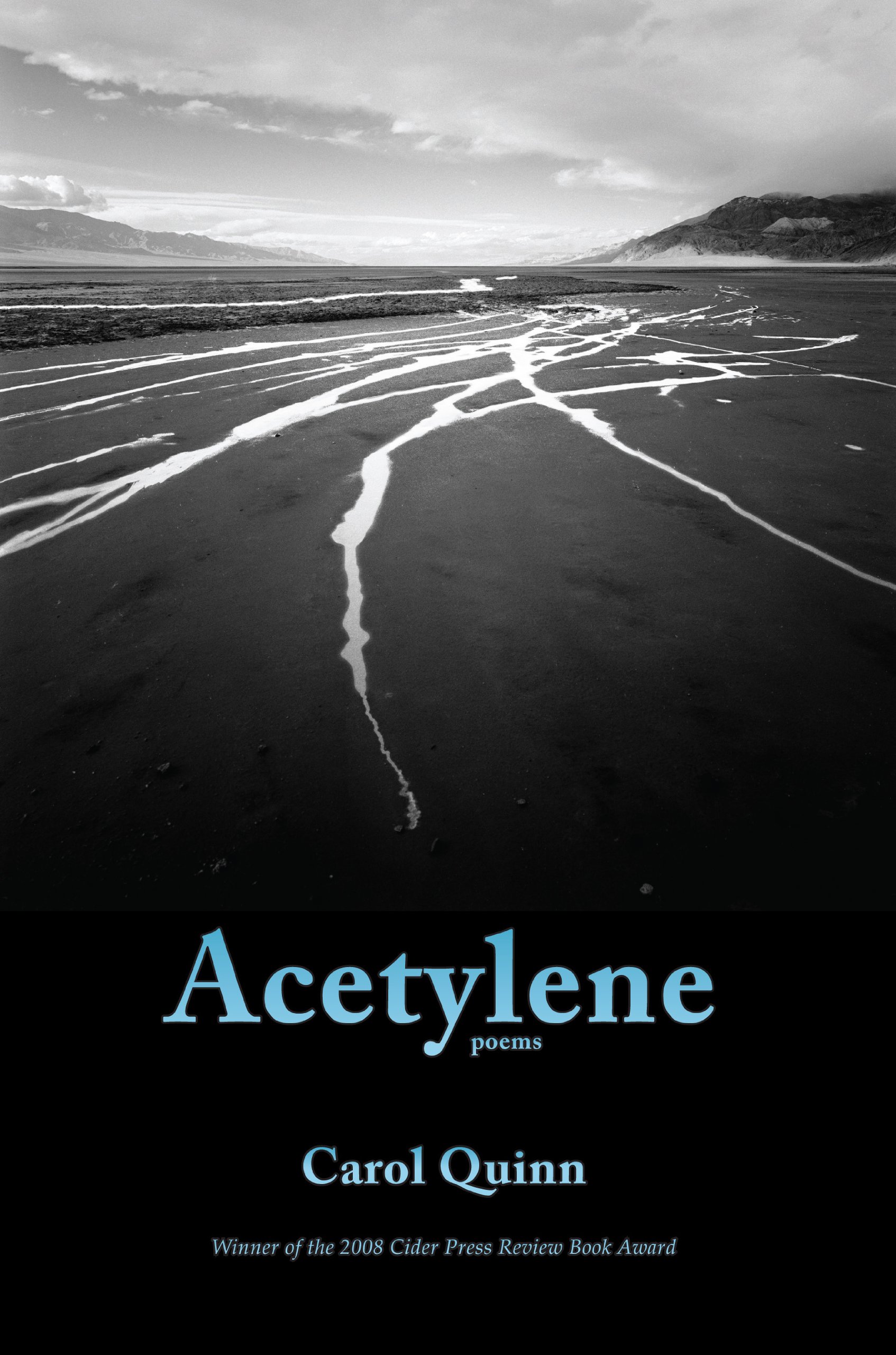 Acetylene Paperback – February 1, 2010