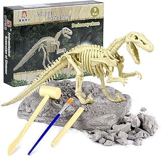 Dinosaur Dig Kit for Kids - Dinosaur Fossil Dig ExcaDinosaur Dig Kit for Kids - Dinosaur Fossil Dig Excavation Kit, Dinosaur Fossils T-Rex- Perfect Education Dinosaur DIY Toys Gift for Boys and Girls