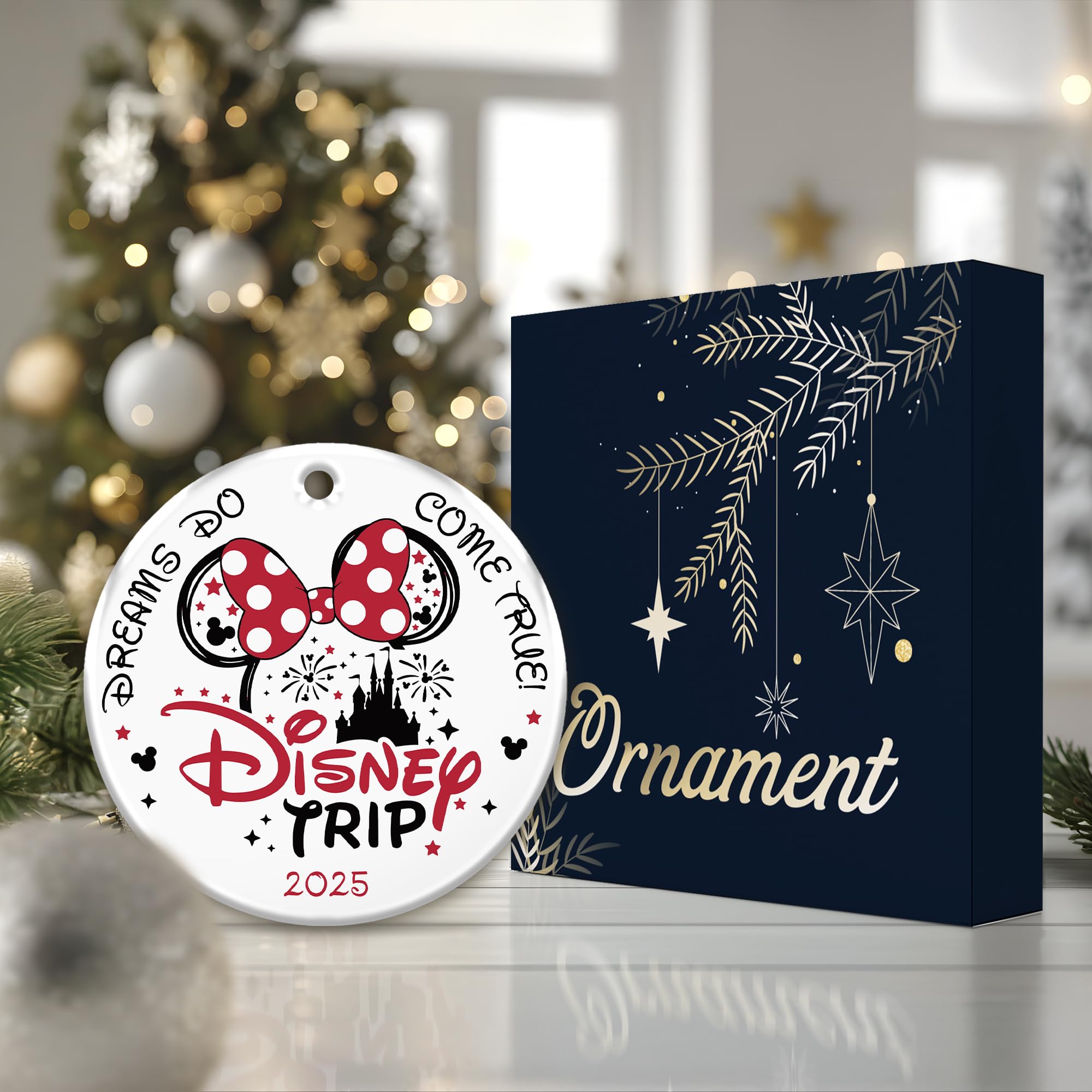 Disney Christmas Ornament 2025 セット 106251s1.jpg