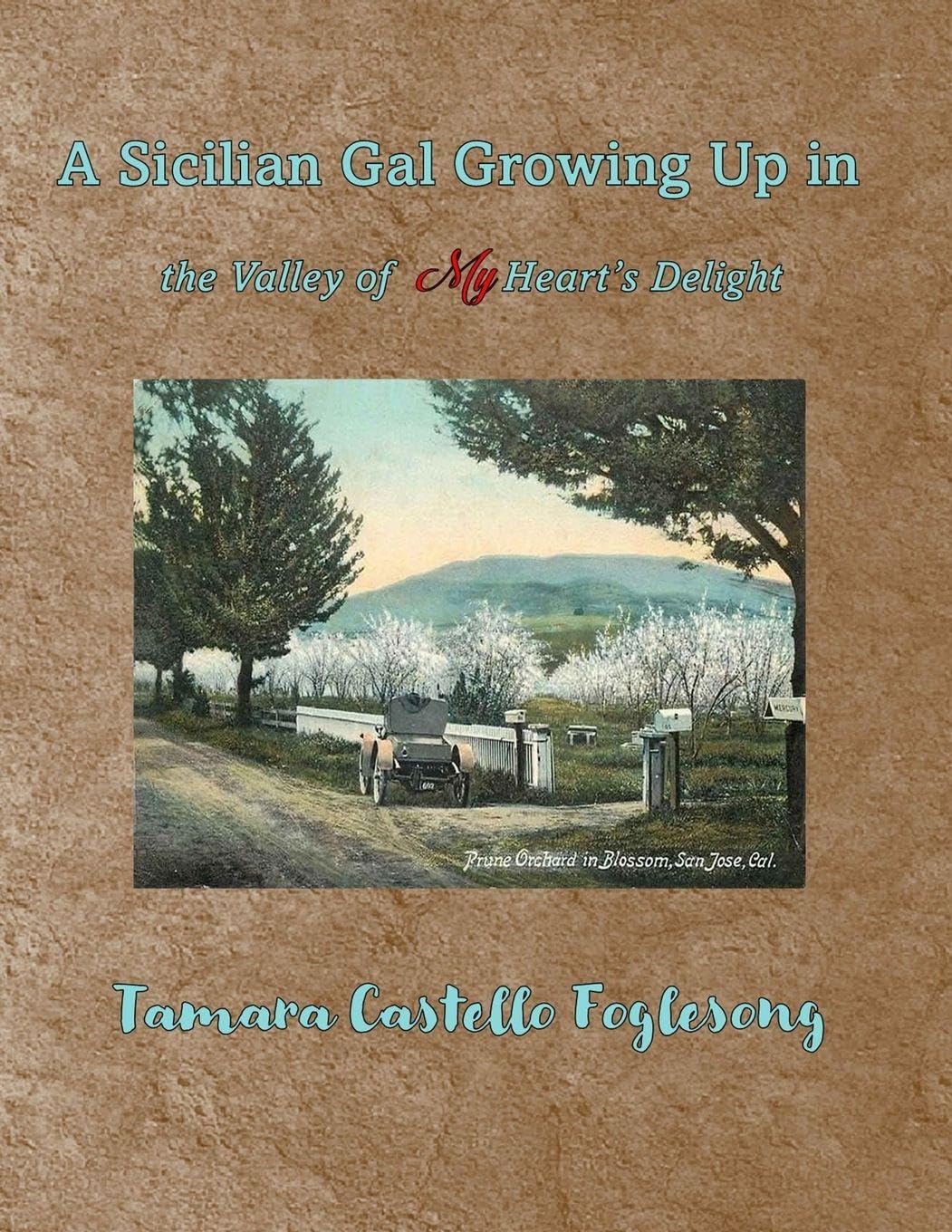 A Sicilian Gal Growing Up in the Valley of My Heart's Delight      Paperback – July 23, 2025