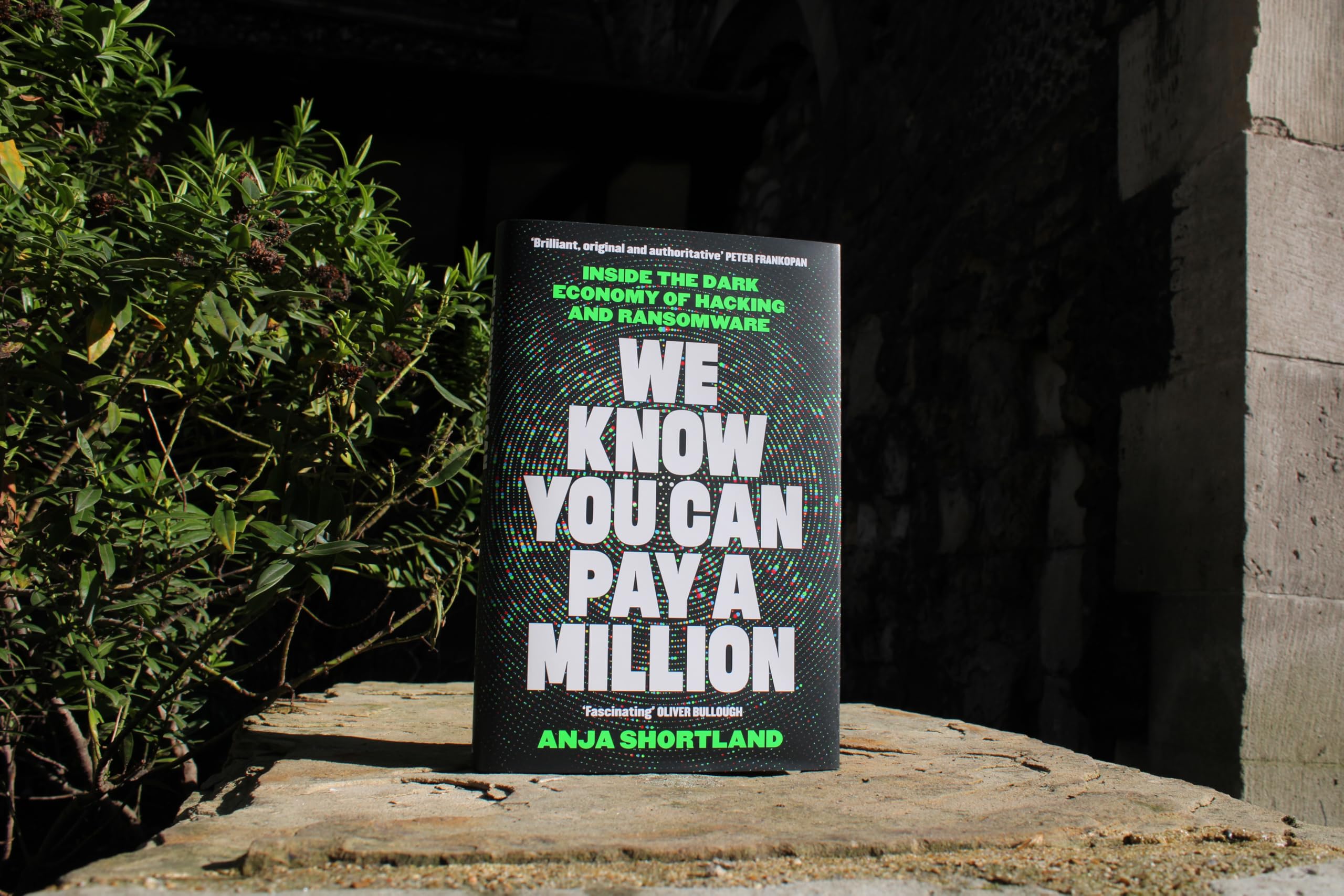 We Know You Can Pay a Million: Inside the Dark Economy of Hacking and Ransomware