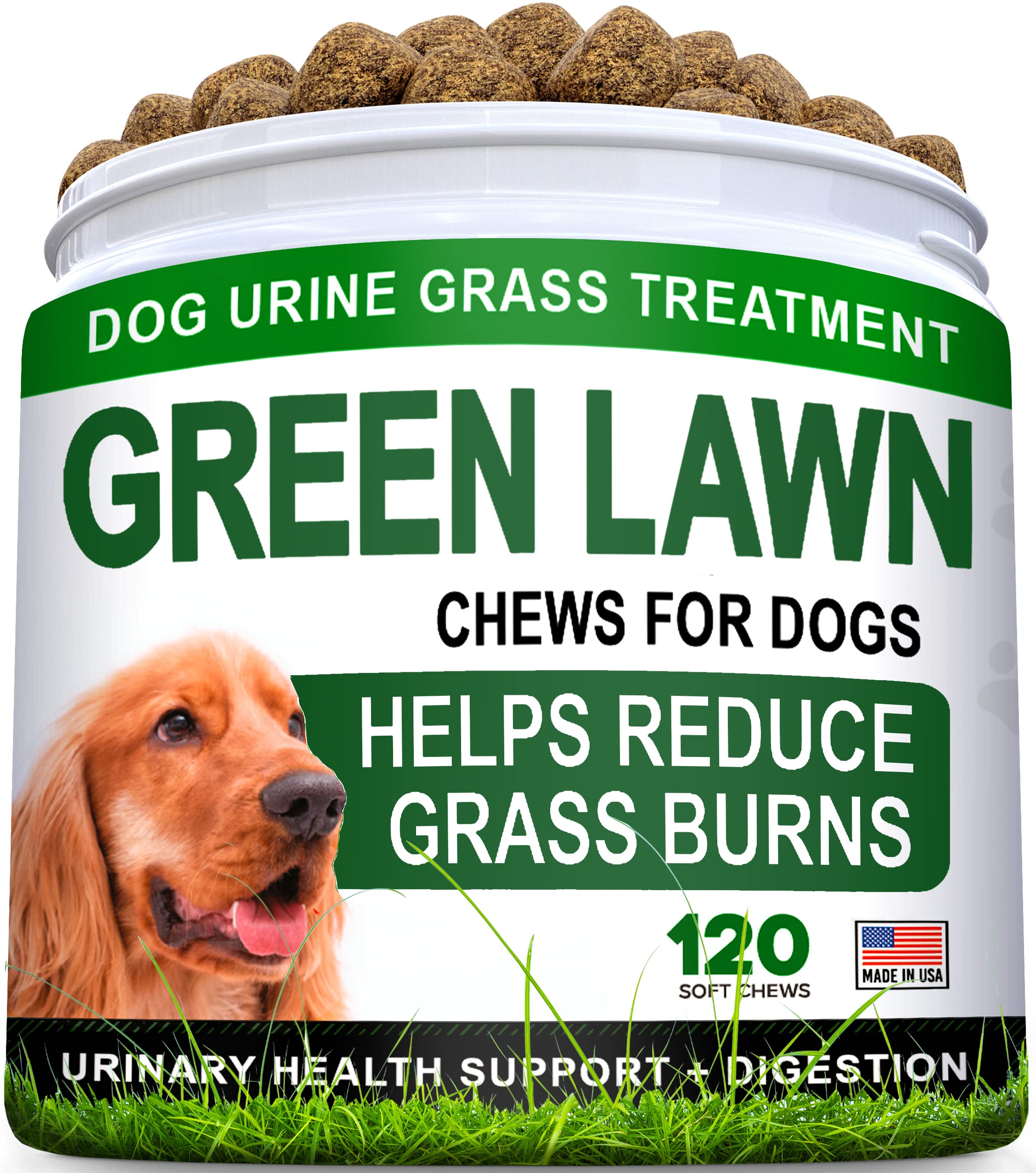 What Causes Female Dog Urine To Kill Grass