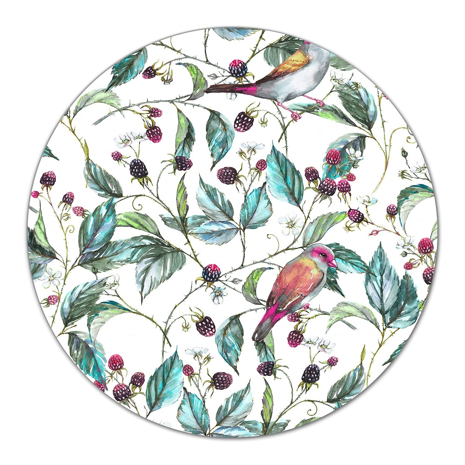 Planche à découper induction 40 cm en verre trempé rond avec motif oiseaux vintage Coloray
