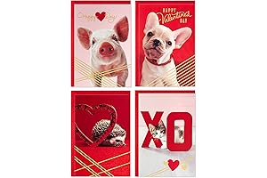 Hallmark 24 Valentines Day Cards for Kids School