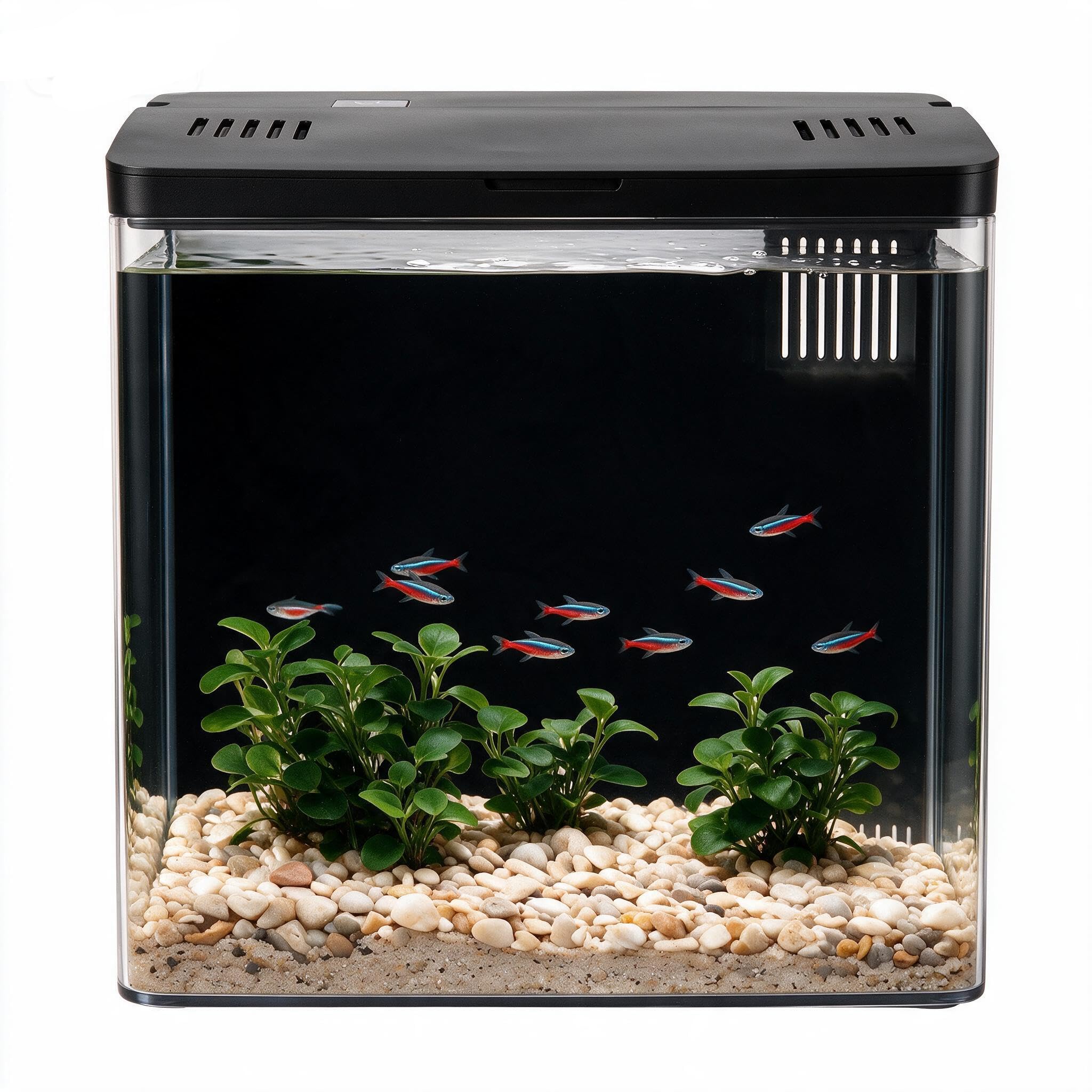 Kit de démarrage pour aquarium 4,5 L, petit aquarium Betta en acrylique avec lumières LED et filtre de fond (noir)