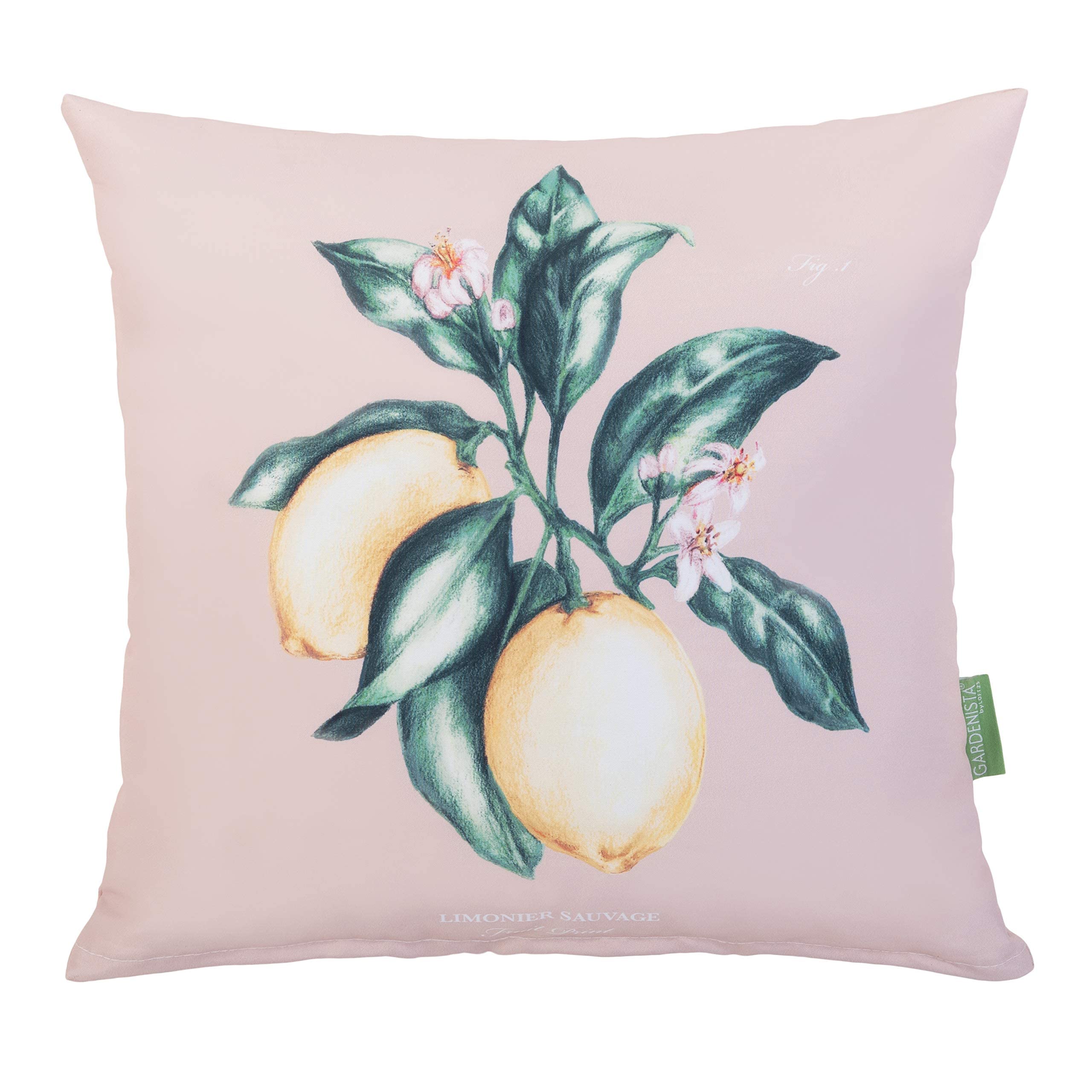 Gardenista Garden Decorative Scatter Cushion | Indoor Water Resistant Outdoor Printed Cushions 45x45 cm | Soft Hollowfibre Filled Patio Furniture Pillow | Easy to Clean Cushions (Lemon Pink Big)