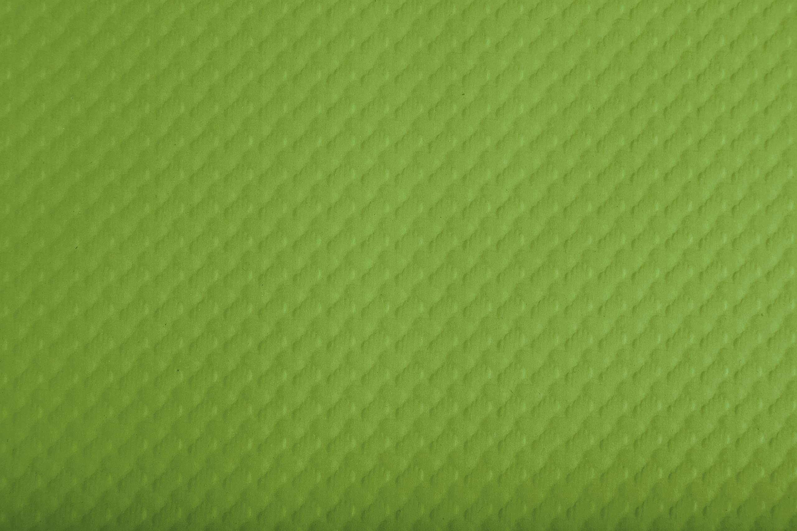 Set de table jetable papier vert pomme 30X40 pour protéger vos plateaux