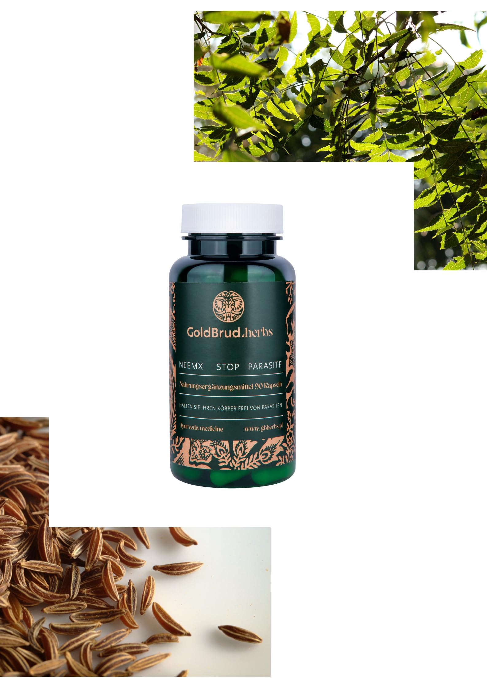NeemX | Knoblauch, Neembaum-Frucht, Ajowan 400mg | | 90 Caps | Goldbrudherbs | Natürliche Kräuter | Keine Konservierungsstoffe | Ayurveda-Ergänzung | Antioxidans |Parasiten | Pilze | Bakterien