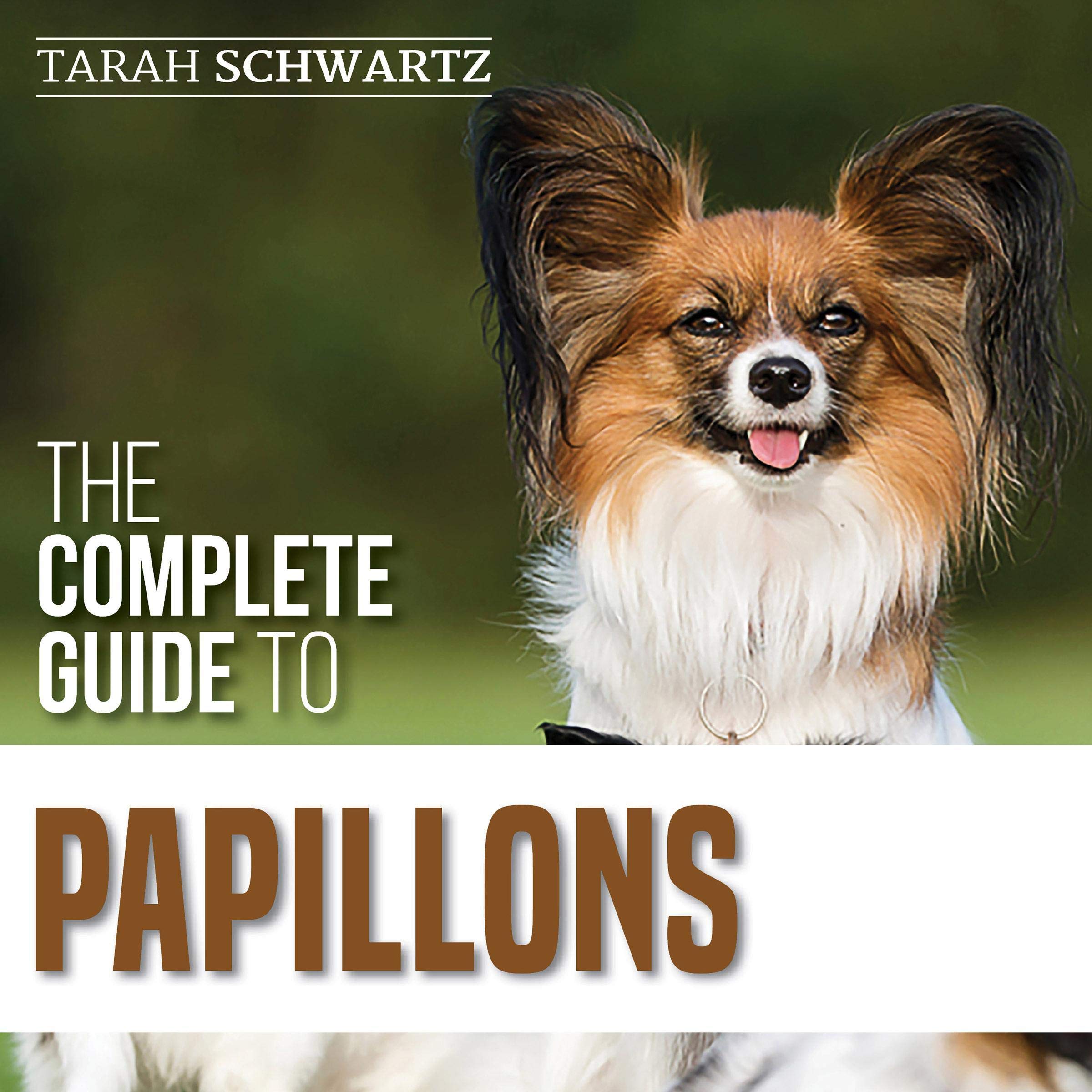 The Complete Guide to Papillons